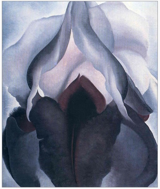 Black iris III – 1926 by Georgia O’keeffe